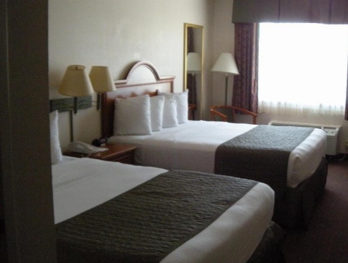 Best Western J. C. Inn image 47
